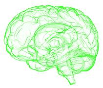 Menschliches Gehirn - Alzheimer