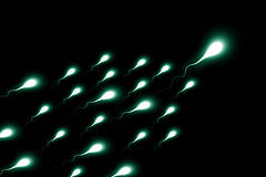 sperm picture